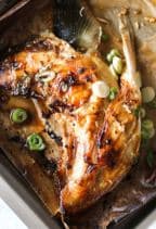 Best Yellowtail Collar in Sherman Oaks, CA